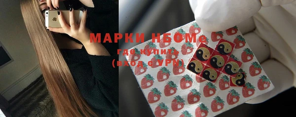 шишки Алзамай