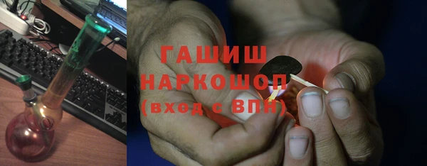 шишки Алзамай