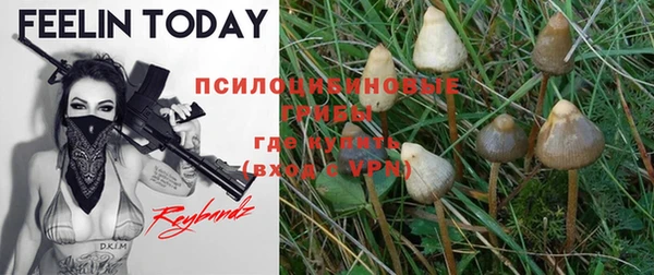 мефедрон Приозерск