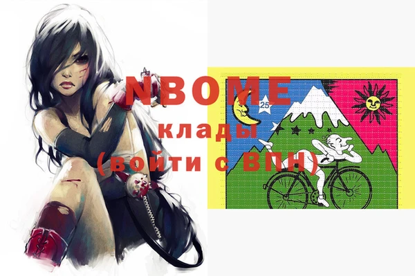 шишки Алзамай