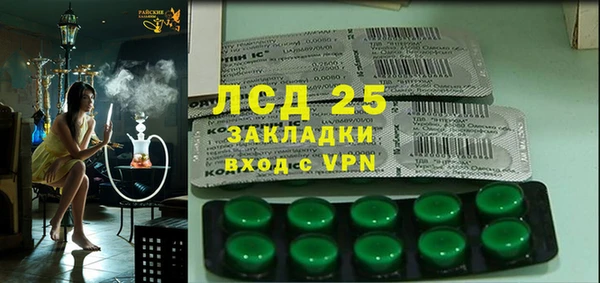 шишки Алзамай