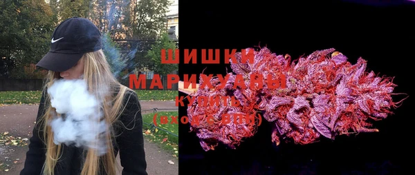 шишки Алзамай
