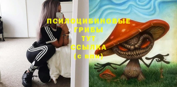 первитин Алексеевка