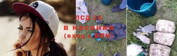 шишки Алзамай