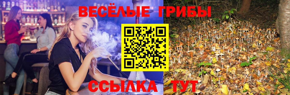 Псилоцибиновые грибы прущие грибы Туймазы